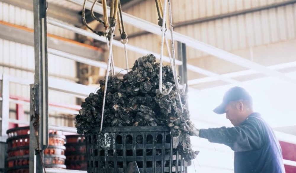 打造台灣紡織業ESG典範！衣的藝術執行長：助力企業形象