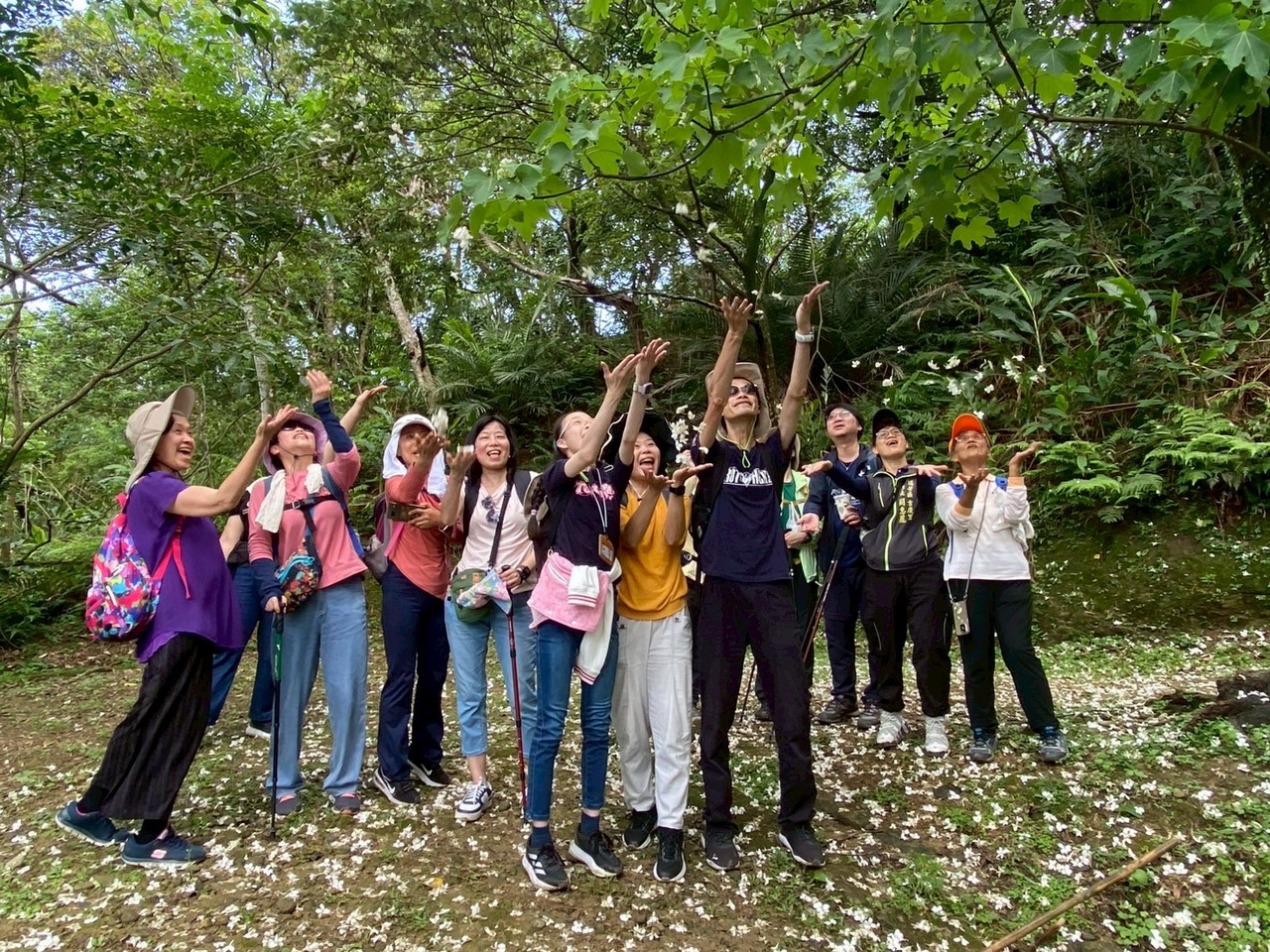 漫步桐花山城　探索四腳亭秘境　瑞芳區公所邀您延續桐花祭的浪漫旅程